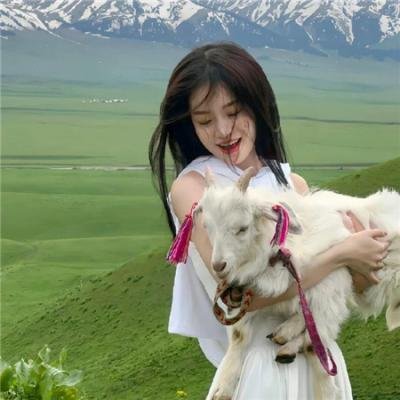 39号特案