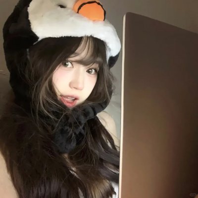 金陵御猫